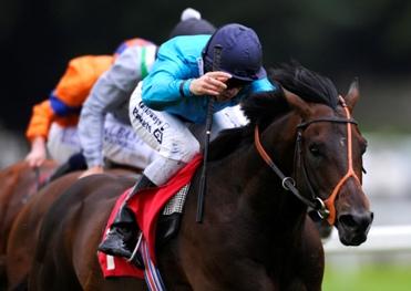 Brown Panther - The one they all have to beat in the Yorkshire Cup